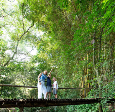 greencitycr-79 greencitycr-79